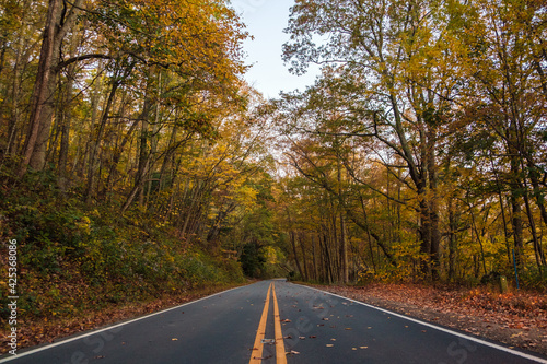 blue ridge parkway in the fall