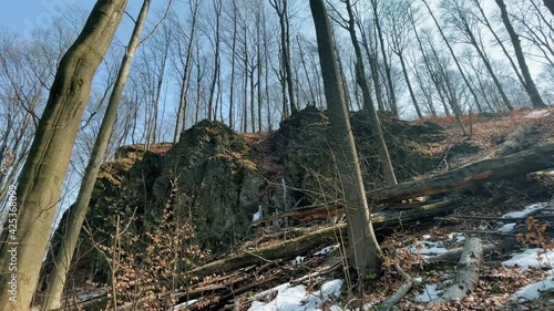 Early spring forest. Cliffs