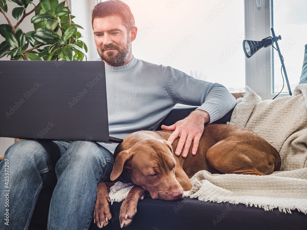 Handsome man and a charming puppy. Close-up, indoors. Studio photo, white color. Concept of care, education, obedience training and raising pets
