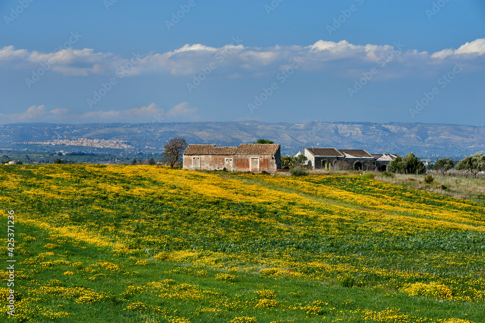 fields and flowers in spring around Pachino Syracuse in Sicily and the typical farmhouses fields and flowers in spring around Pachino Syracuse in Sicily and the typical farmhouses