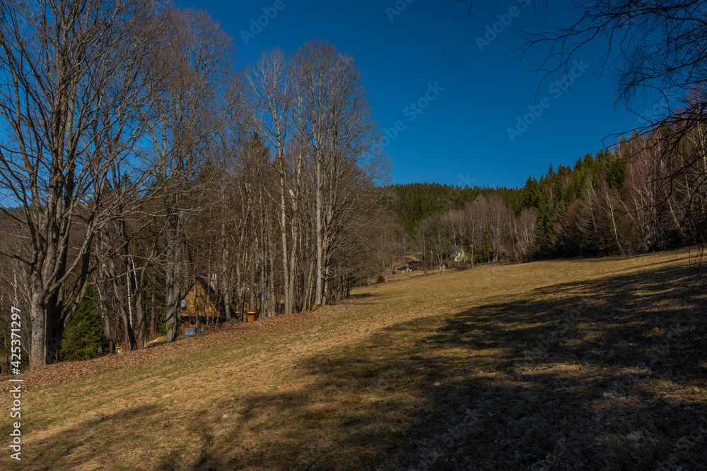 Obraz premium Spring color meadow in valley of river Uhlava with Brcalnik small village