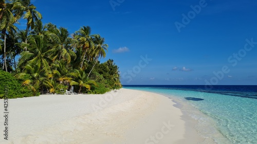 palm trees close to the ocean with turquoise water