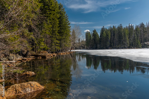 Cerne lake in national park Sumava in south west Bohemia in spring day