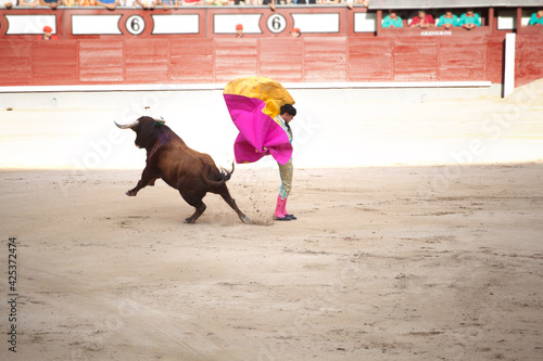 Lidia en plaza de toros de Madrid, España - pase de capote. toreando 