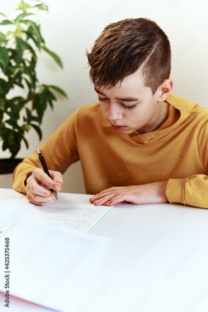 Teenage boy write homework at home. Education concept Teenage boy write homework at home. Education concept