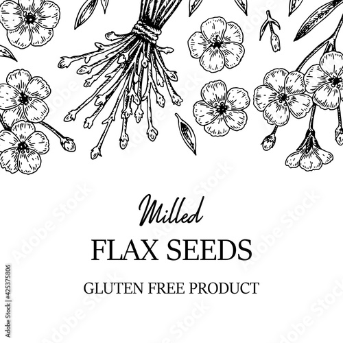 Hand drawn flax frame. Vector illustration in sketch style for linen seeds and oil packaging