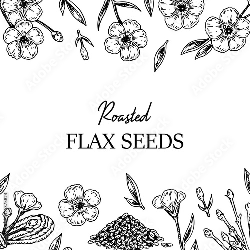 Hand drawn flax frame. Vector illustration in sketch style for linen seeds and oil packaging