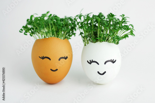 Two eggs with seedlings inside. A cute face is painted on the shell. Concepts of Easter decor, growing micro-greenery for food, zero waste