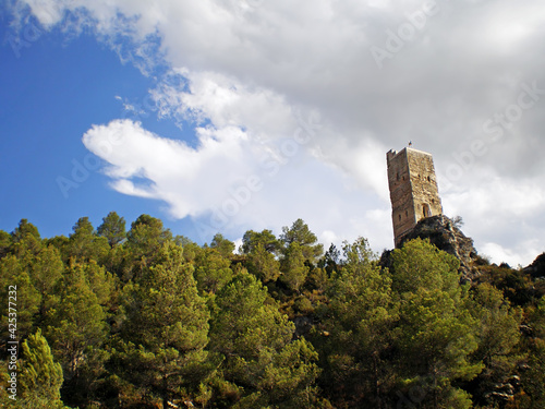 View of Torre de Coloms surrounded by trees, in Moixent (Spain) photo