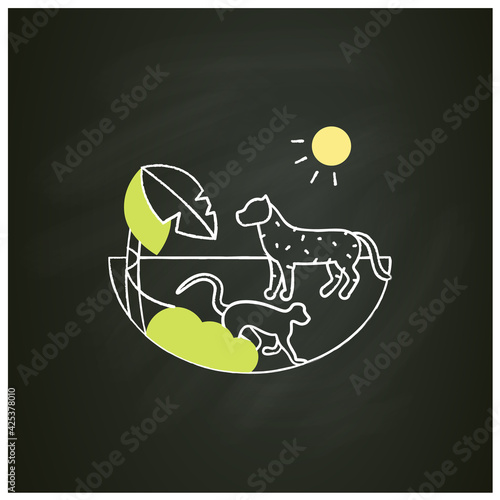 Tropical rainforest chalk icon.Humid and warm place.Located near the equator.Living place for dangerous animals like jaguar and monkeys. Isolated vector illustration on chalkboad