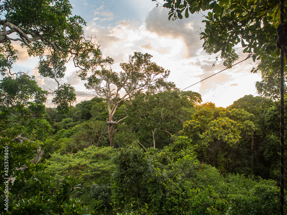 Obraz premium rainbow