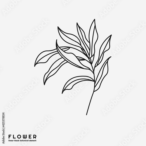 Flower icon on white background, isolated. Floral sign for luxury minimalistic boho design. No fill and thin outlines, plant symbol, garden and greenery with stem. Flower sketch vector illustration