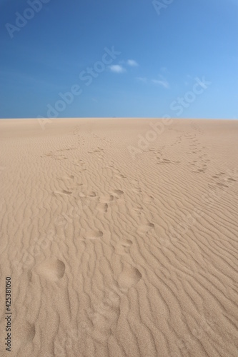 Footsteps on a beige sand dune in Taroa la guajira colombia with a blue sky, walking in the heat in a dry and sunny day in the desert 