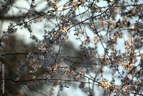 Developed using darktable 3.2.1 photo