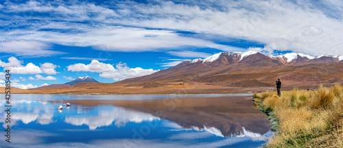 Foto The traveler takes pictures of Pink flamingo in the lake