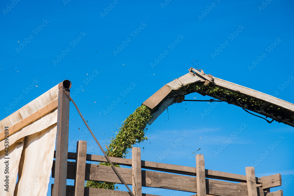 Harvesting with the help of agricultural machinery Harvesting with the help of agricultural machinery