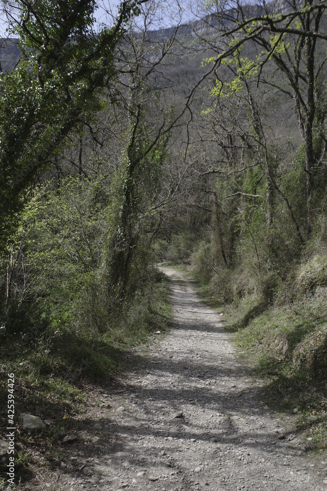 Landscape in the countryside of Basque Country