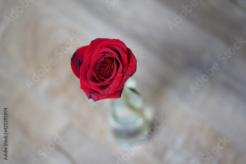 Принти на полотні A macroscopic view of a red rose in a vase with shallow depth of field on a wood floor