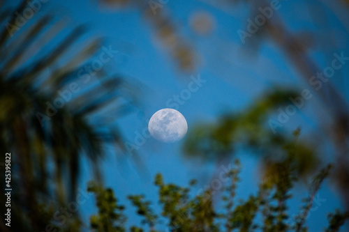 luna creciente