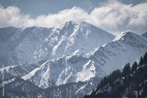 snow covered mountains