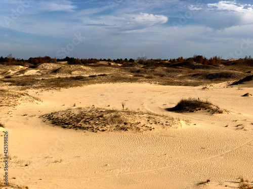 Ukrainian desert
