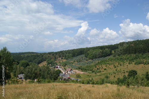 Mountain village landscape in Pstr    na in Poland
