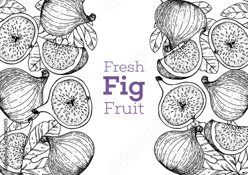 Fig fruit hand drawn package design. Vector illustration. Design, package, brochure illustration. Packaging design. Hand drawn fig fruits design template. Organic fresh food vector illustration.