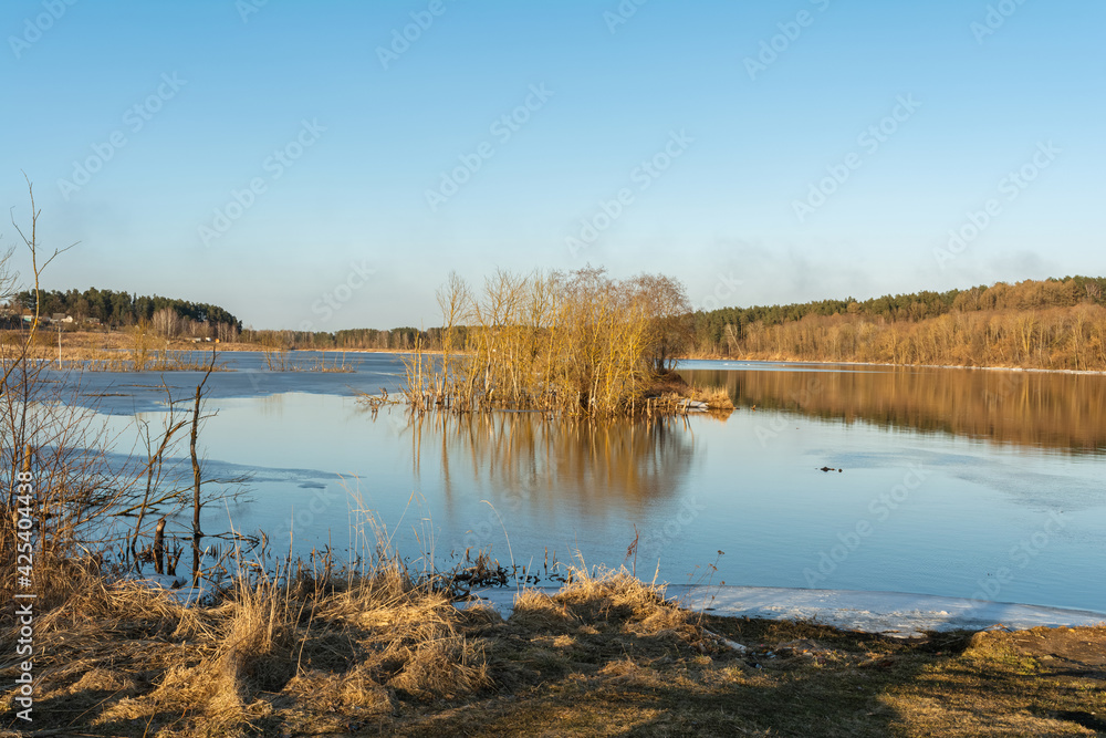 View of the blue lake with dry grassy shores and trees in the water. The clear blue sky and trees are reflected in the water. Spring landscape with a lake in the evening