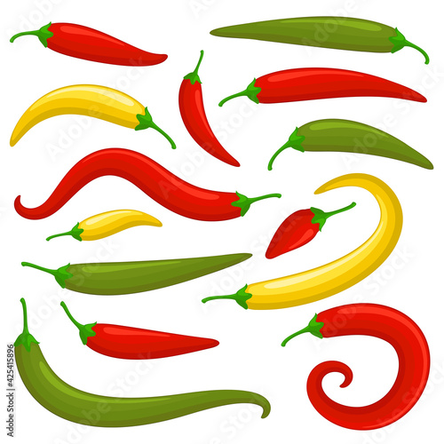 Closeup chilly pepper vector set.