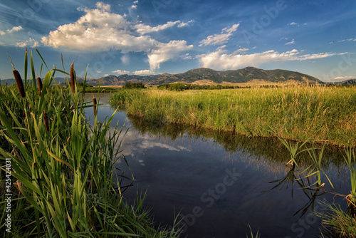 Marsh in Gallatin Valley;  near Bozeman, Montana photo