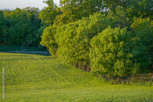 Buffalo NY Chestnut Ridge Sunset
