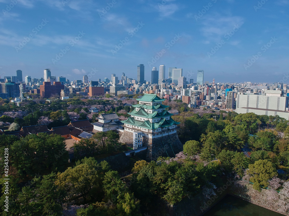 Obraz premium 航空撮影した春の名古屋城と満開の桜の風景