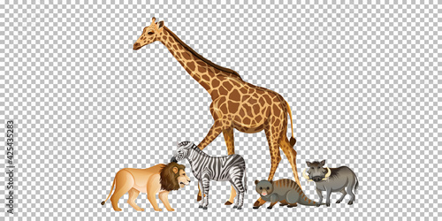 Fototapeta Naklejka Na Ścianę i Meble -  Group of wild african animal on transparent background