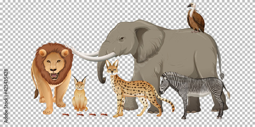 Group of wild african animal on transparent background