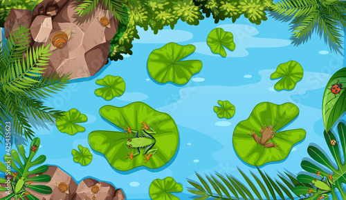 Aerial scene with frogs and lotus leaves in the pond