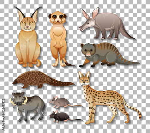 Set of isolated wild african animals on transparent background