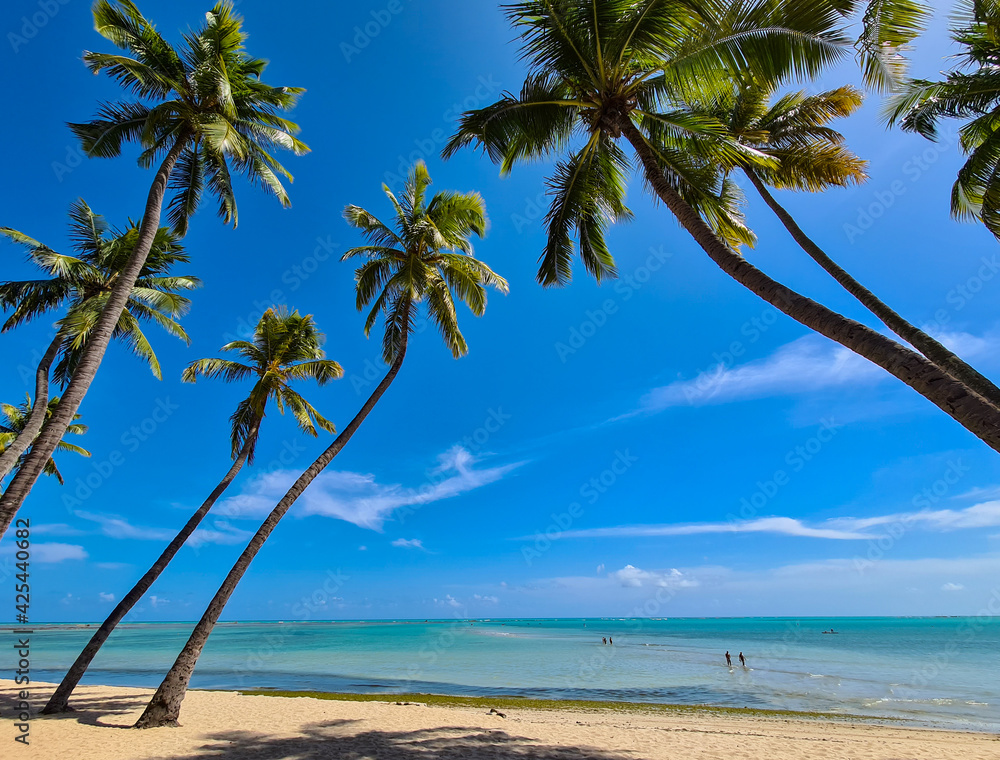 Praia com águas azuis e coqueiros inclinados em dia de céu azul