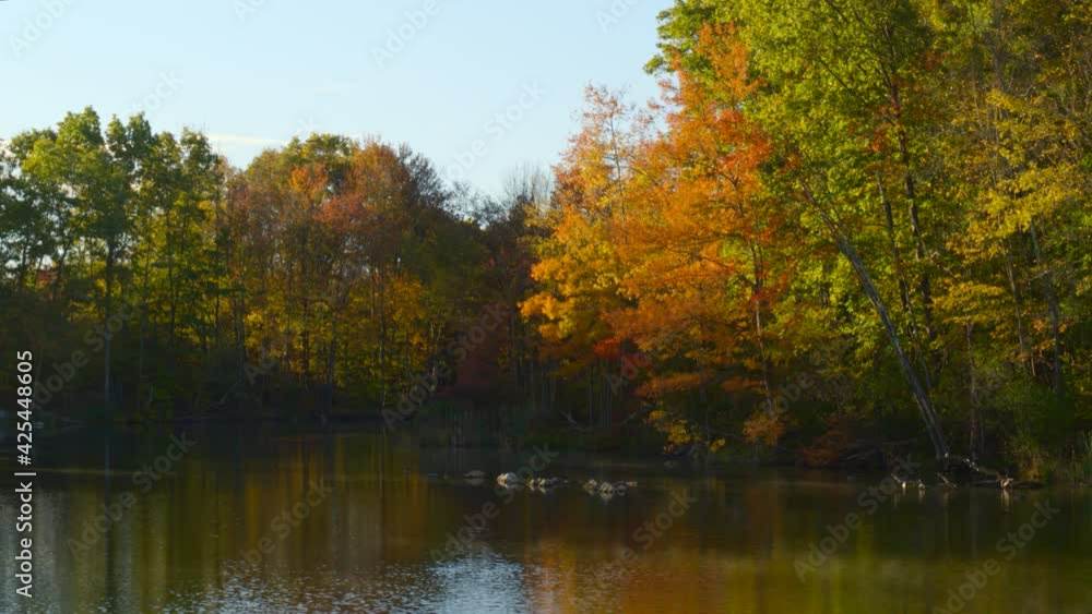 Autumn trees reflecting in a calm lake Autumn trees reflecting in a calm lake