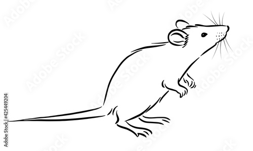 Rat sketch image on white background