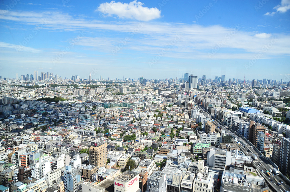 Fototapeta premium ランドマークプラザ超高層ビルからの東京三軒茶屋付近、俯瞰の眺め