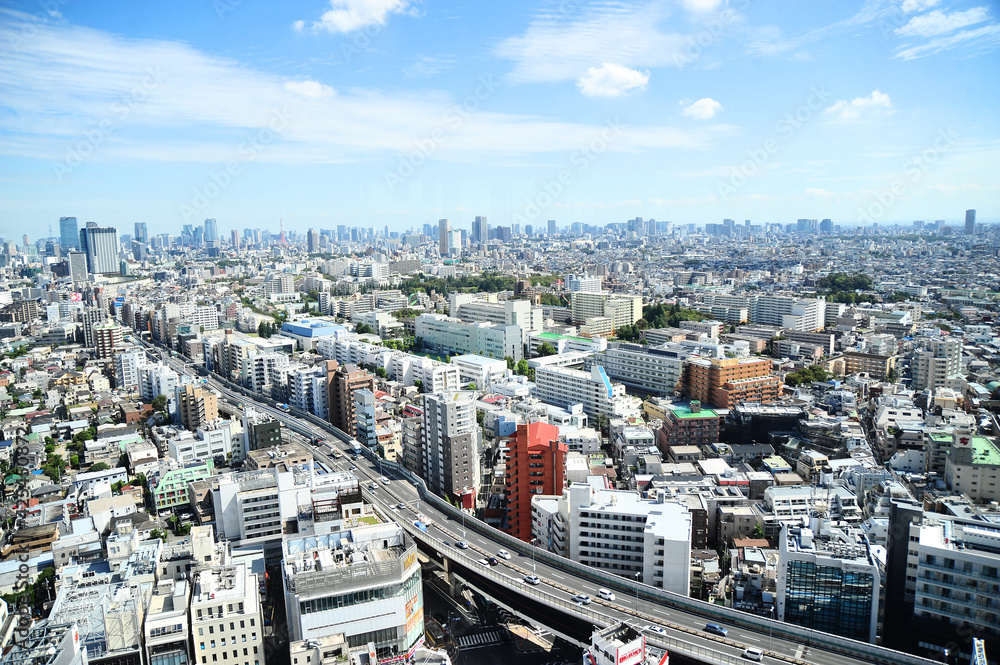 ランドマークプラザ超高層ビルからの東京三軒茶屋付近、俯瞰の眺め