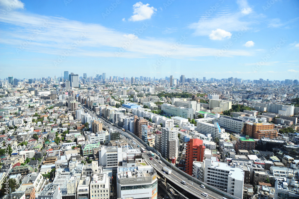 ランドマークプラザ超高層ビルからの東京三軒茶屋付近、俯瞰の眺め