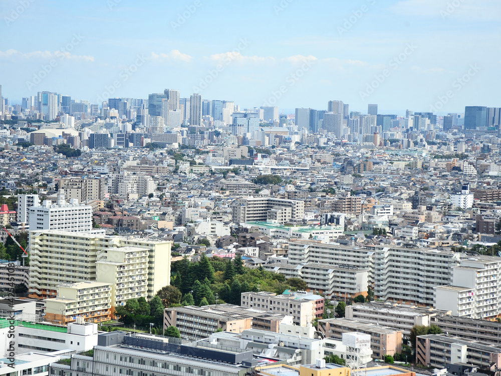 Obraz premium ランドマークプラザ超高層ビルからの東京三軒茶屋付近、俯瞰の眺め