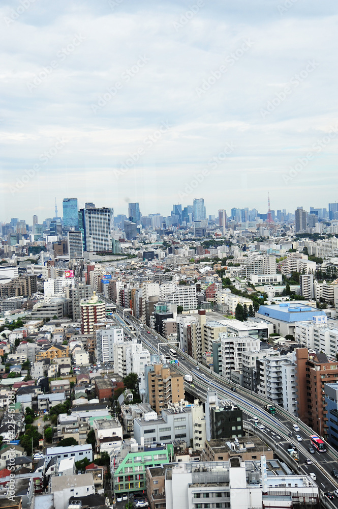 ランドマークプラザ超高層ビルからの東京三軒茶屋付近、俯瞰の眺め