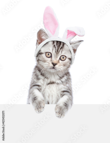 Tabby kitten wearing easter rabbits ears looks above empty white banner. Isolated on white background