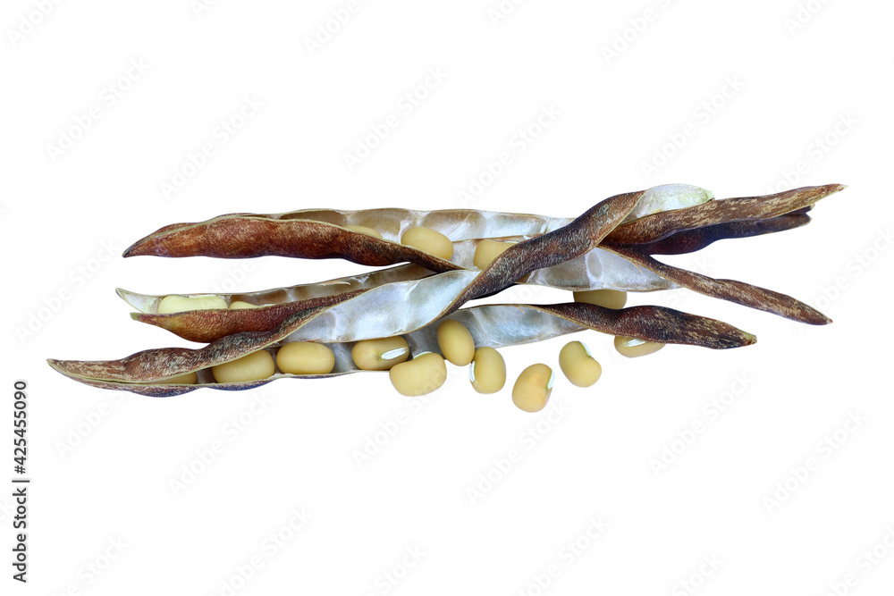 dry peas seeds isolated on white background dry peas seeds isolated on white background