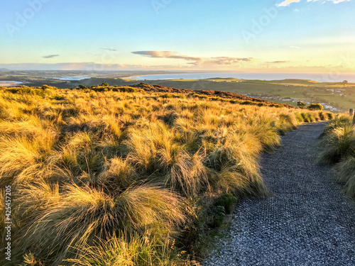 Fototapeta Naklejka Na Ścianę i Meble -  Sunset grass field on the top of The Nut, Stanley, Tasmania, Australia