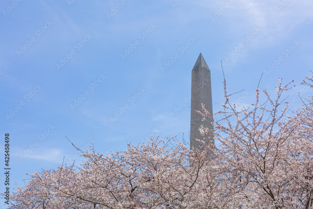 Washington monument in spring of 2021