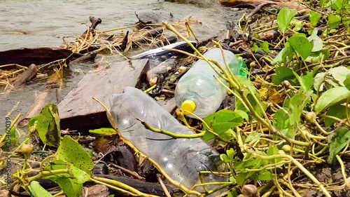 Shore of a lake polluted by plastic waste
