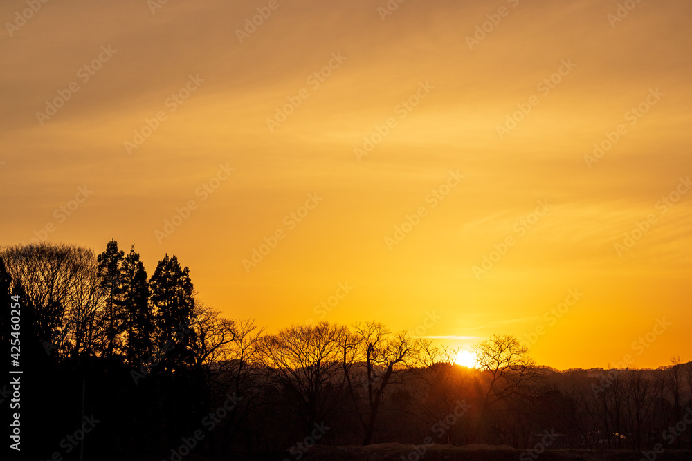 山に沈む夕日 夕焼け 太陽 木のシルエット 山に沈む夕日 夕焼け 太陽 木のシルエット